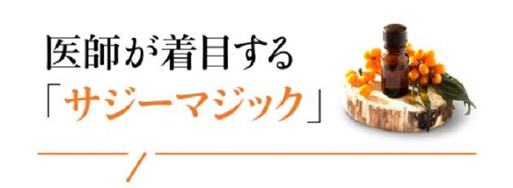 千年サジーについて