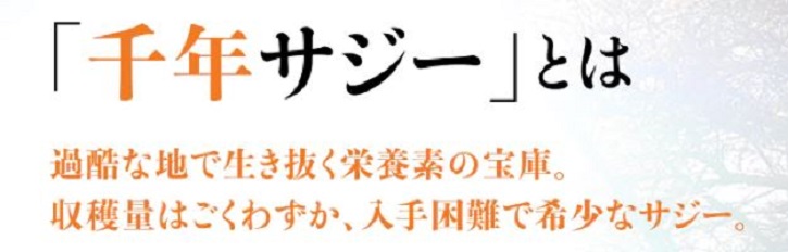 ��N�T�W�[�ɂ���